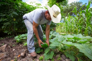 2021 Honduras 