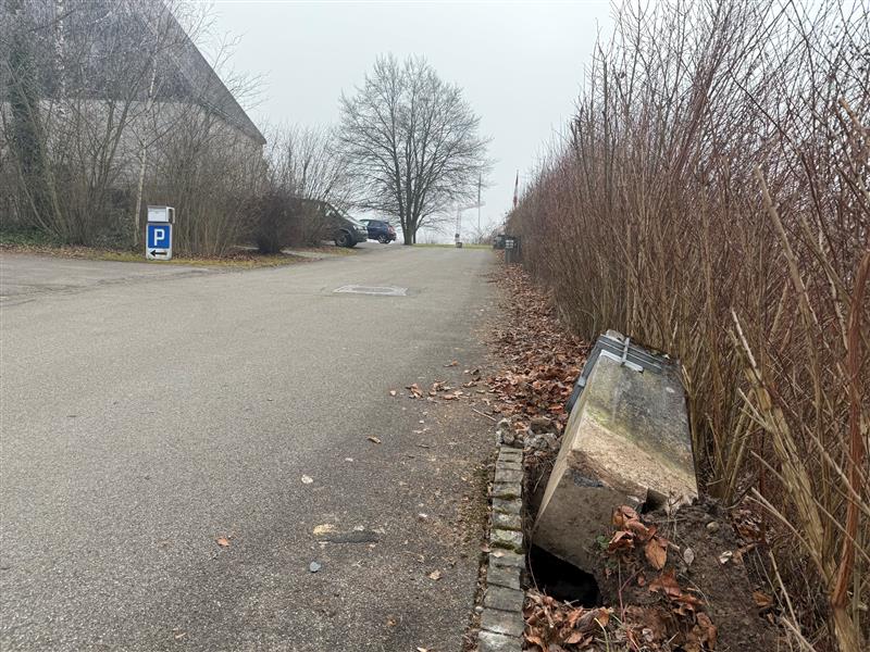 Betonpfosten Rebbuck Effretikon