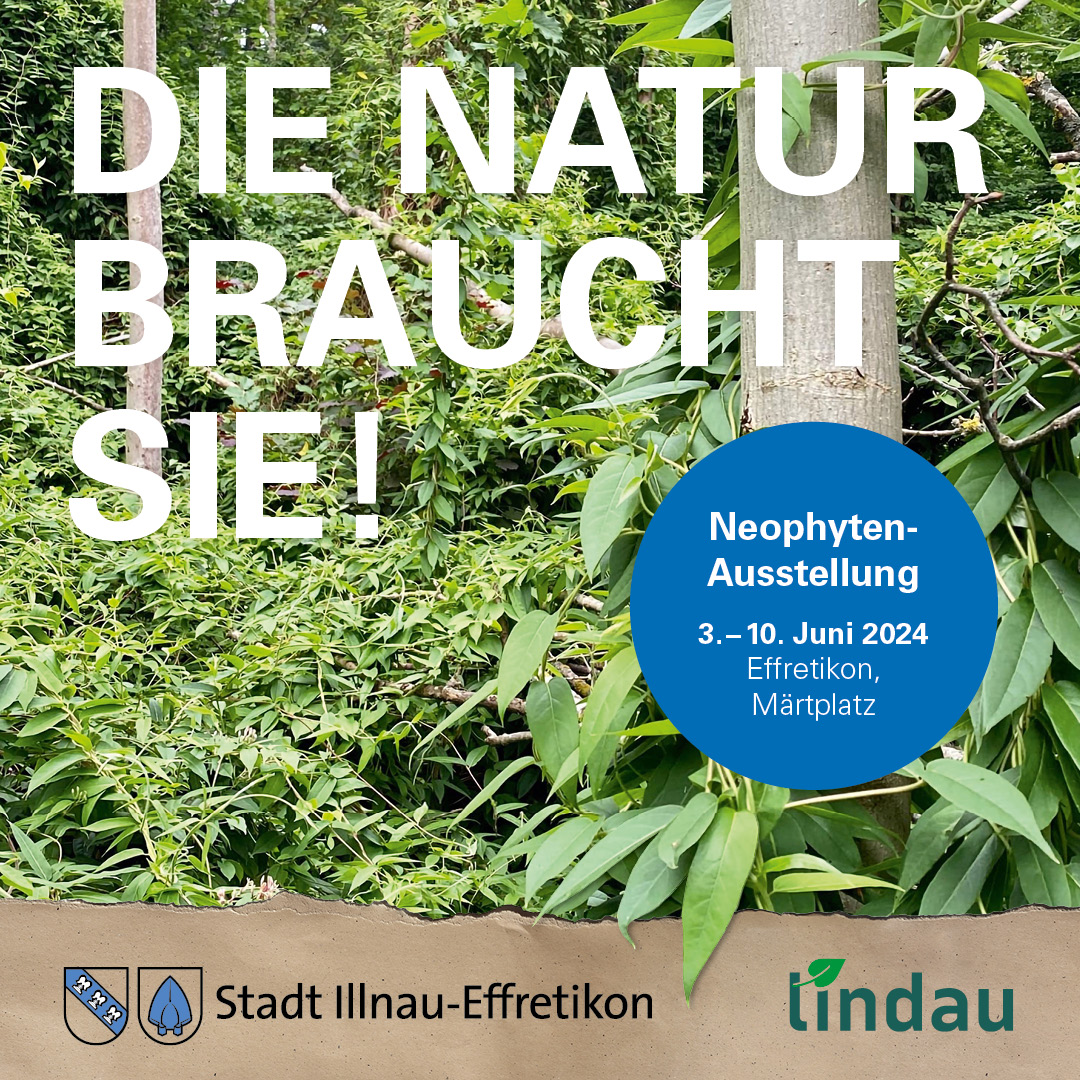 Jeder Quadratmeter