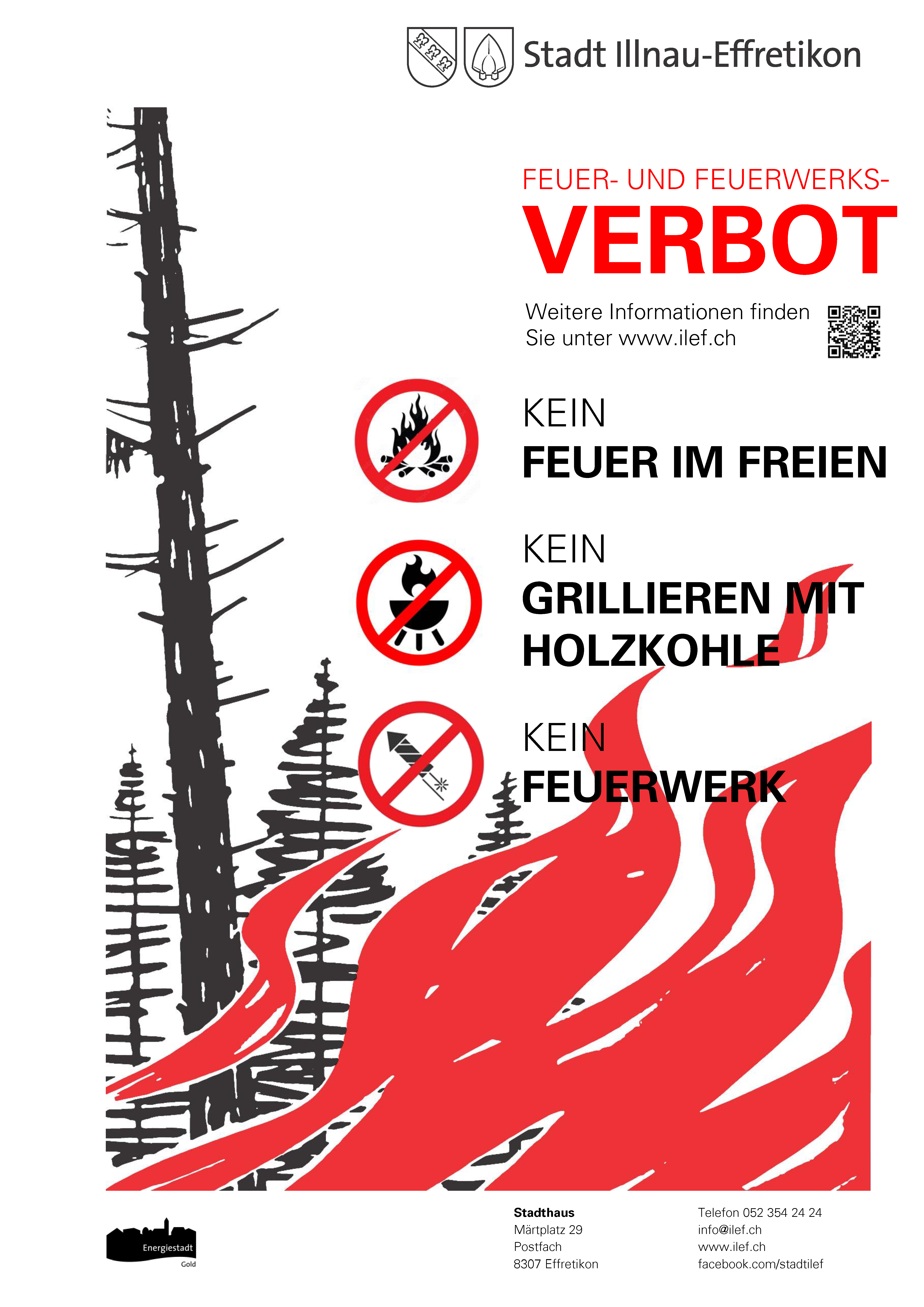 Plakat Feuer- und Feuerwerks
