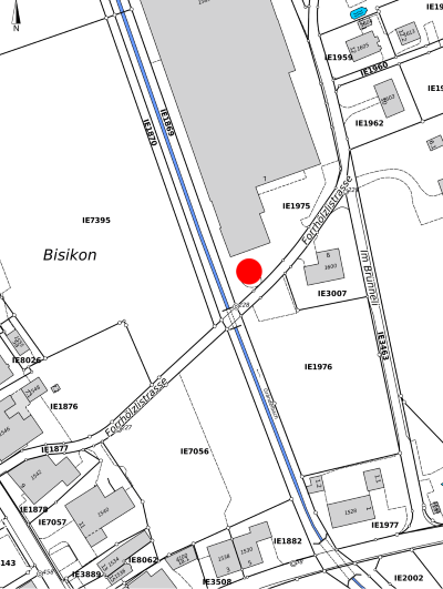 Bisikon