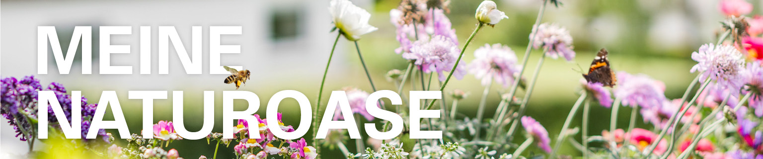 Naturoase