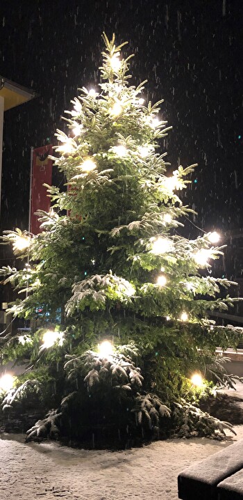 Weihnachtsbaum auf dem Zentrumsplatz