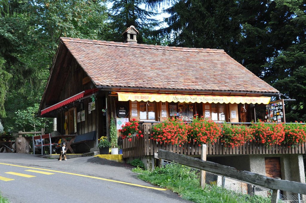 Alptwirtschaft Schornenrain