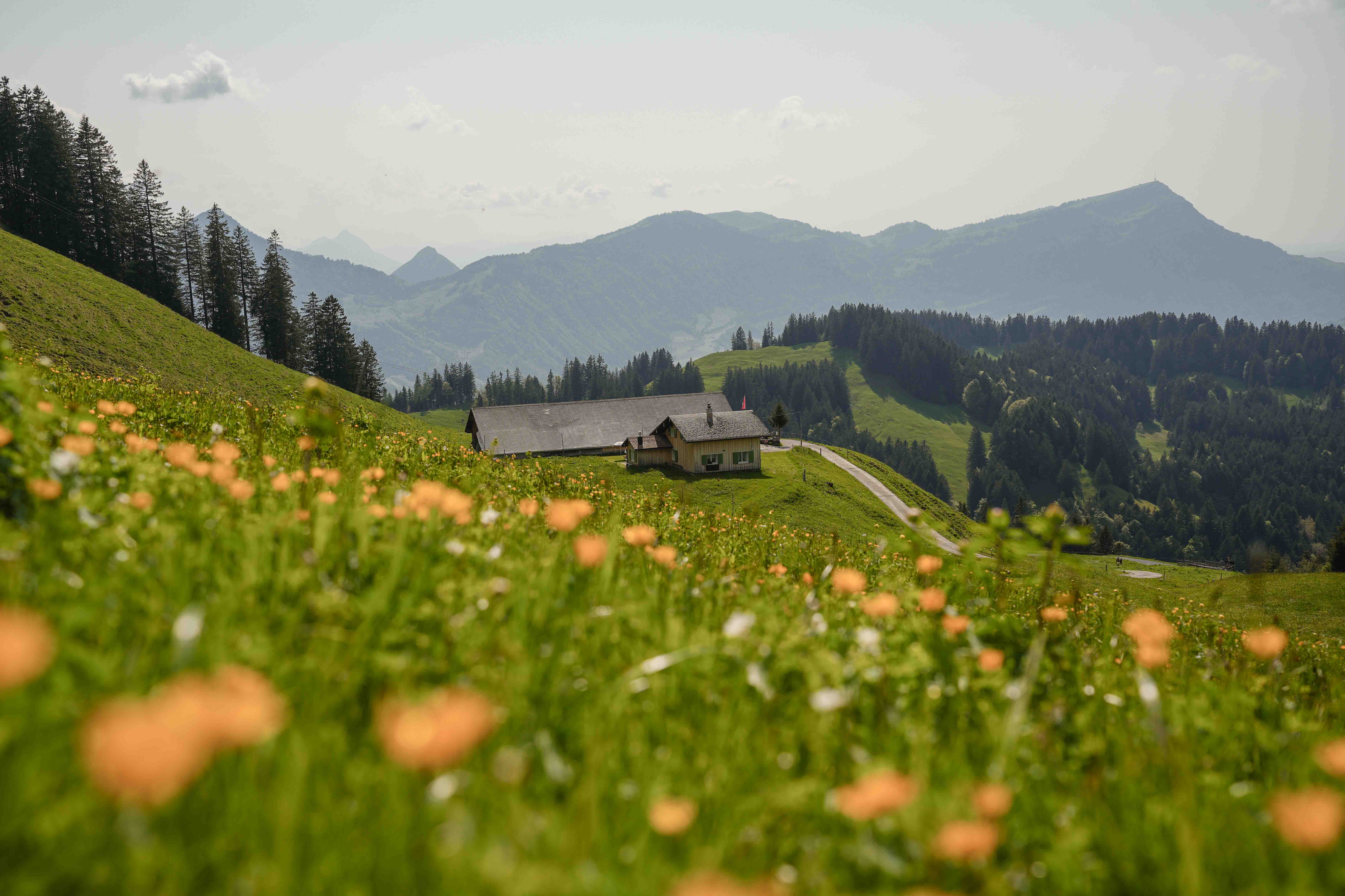 Alpwirtschaft Stuckli Alp