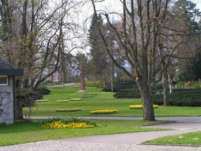 Blick zum Gemeinschaftsgrab im Friedhof Uster