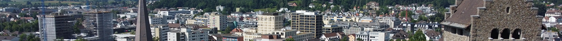 Blick über Uster mit der Kirche und Burg im Vordergrund