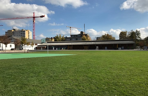 Landihalle und Stadthalle