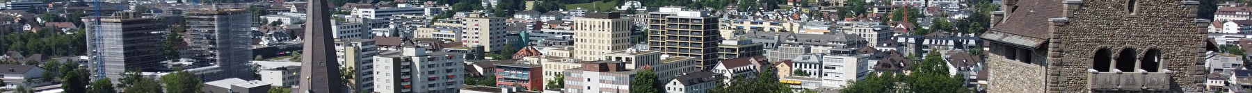 Blick über Uster mit der Kirche und Burg im Vordergrund