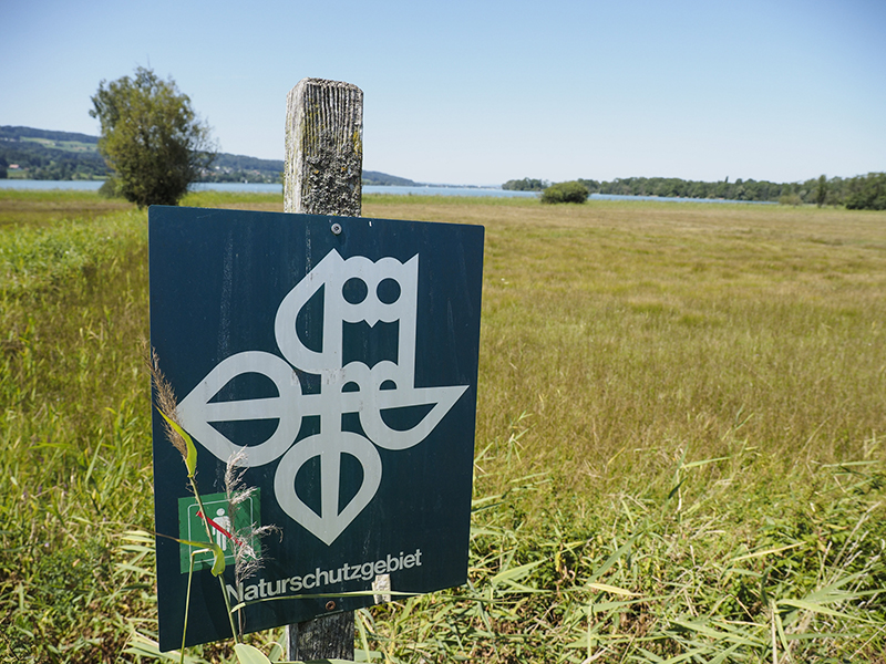 Naturschutzgebiet am Greifensee.
