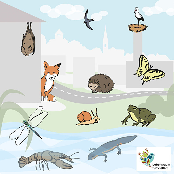 Visual Stadtrundgang mit tierischen Sinnen