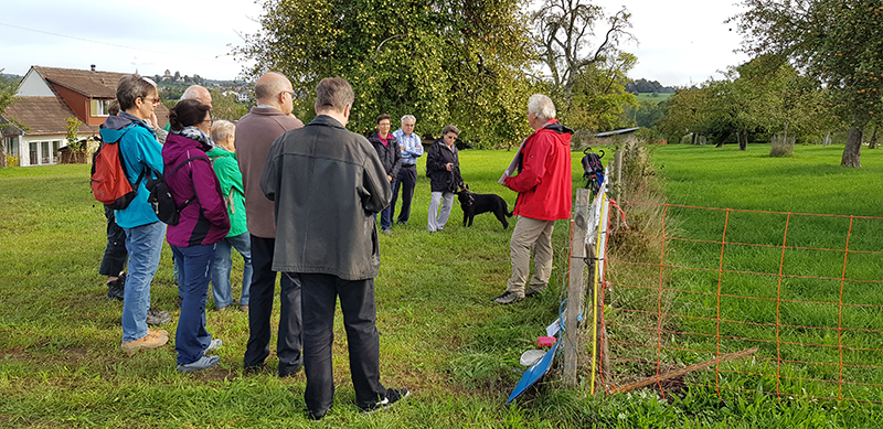 Stadtwanderung 2018 zum Thema Obstbäume