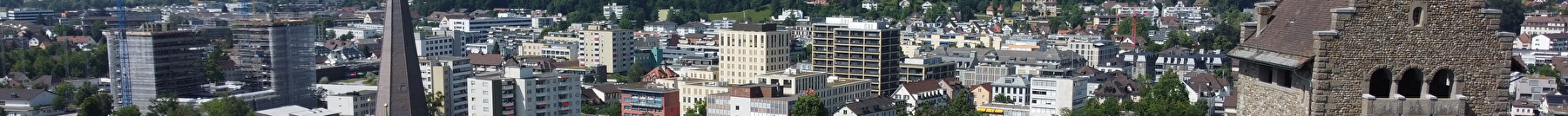 Blick über Uster mit der Kirche und Burg im Vordergrund