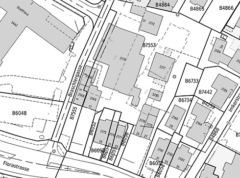 Ausschnitt Webgis Braschlergasse