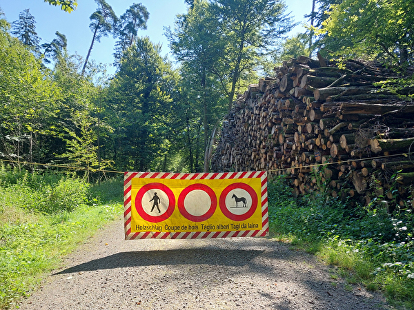 Absperrung für Holzschlag