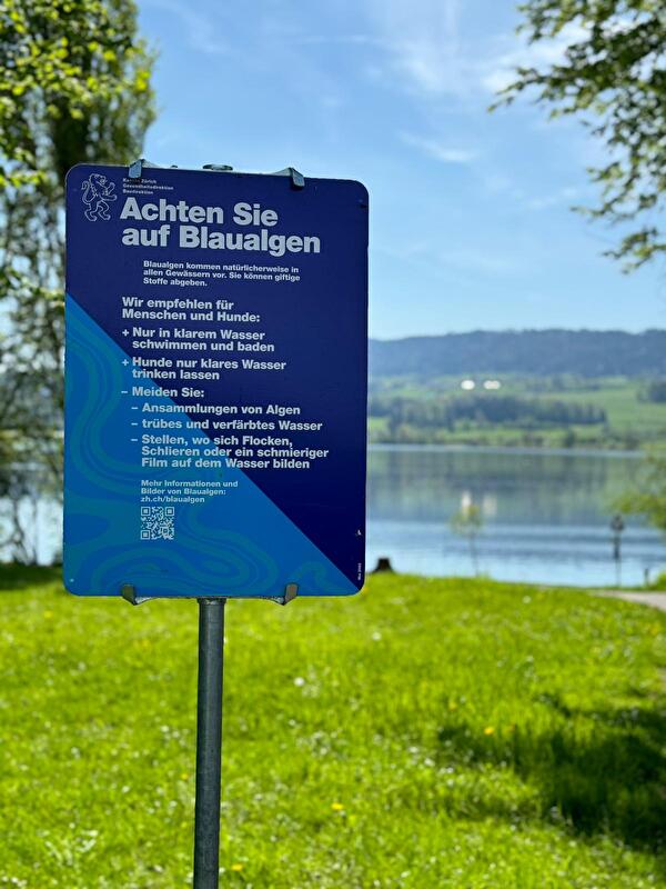 Plakat am Seeufer, welches auf die Gefahr von Blaualgen aufmerksam macht.
