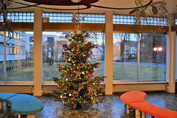 Weihnachtsbaum im Stadthaus