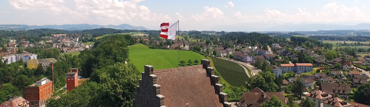 Uster Luftaufnahme