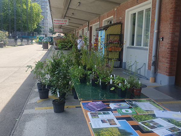 Die letzte Verschenk-Aktion