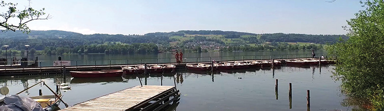 Bild Greifensee