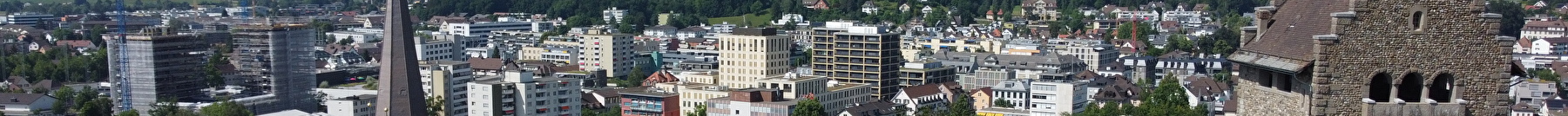 Blick über Uster mit der Kirche und Burg im Vordergrund