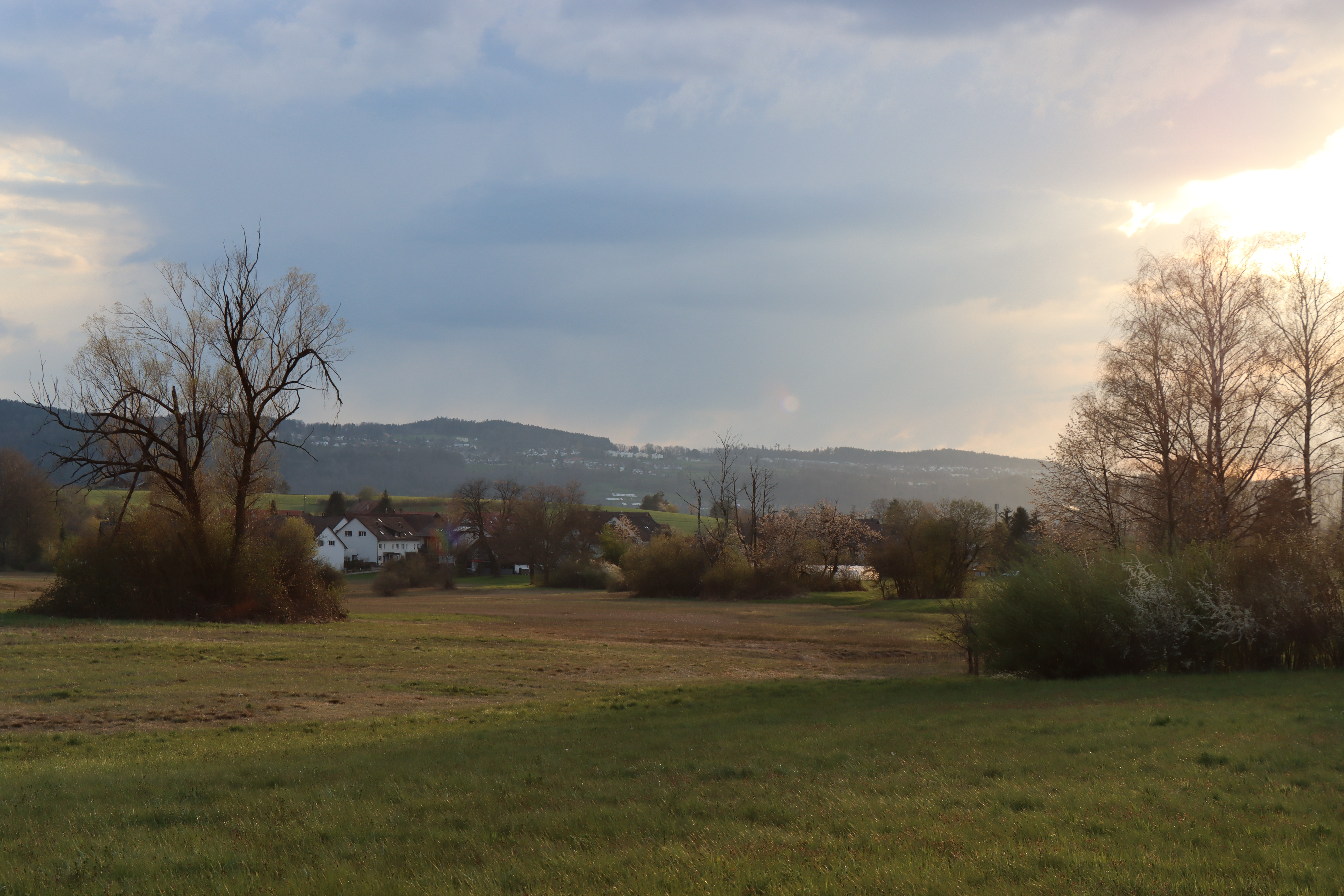 Sicht auf Naturschutzgebiet, Wiese, Bäume, Hecken