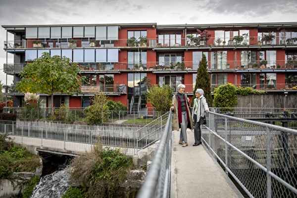 Siedlung Im Lot in Uster