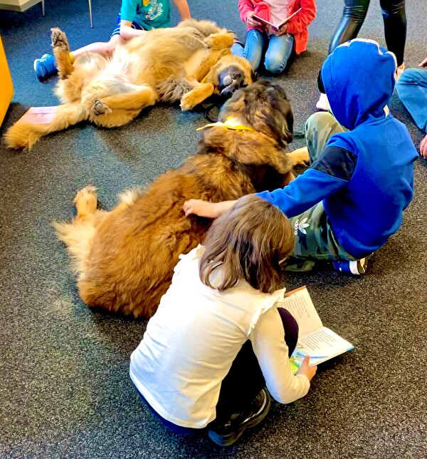 Lesehunde und Kinder