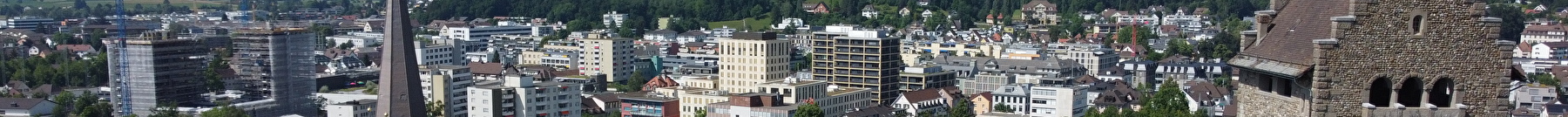 Blick über Uster mit der Kirche und Burg im Vordergrund