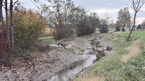 Der revitalisierte Werrikerbach