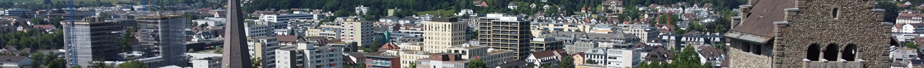 Blick über Uster mit der Kirche und Burg im Vordergrund