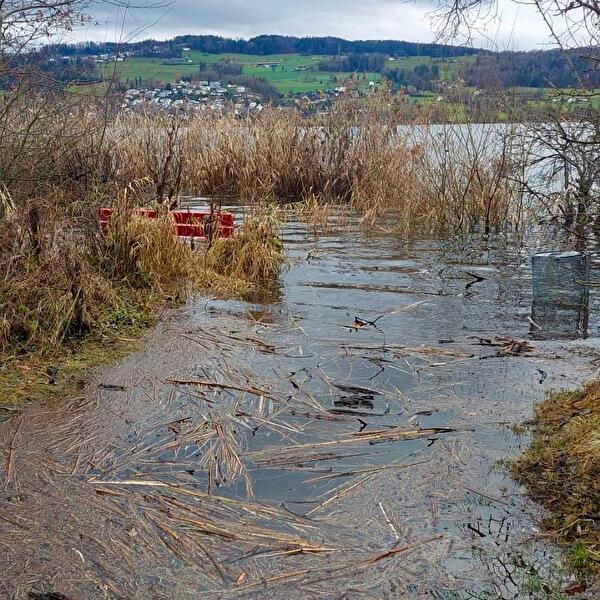 Hochwassersituation am Greifensee