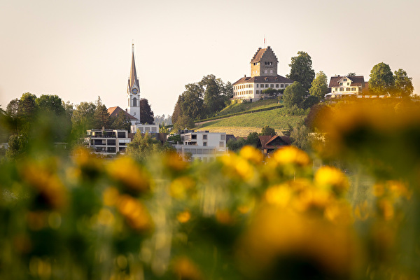 Das Schloss Uster