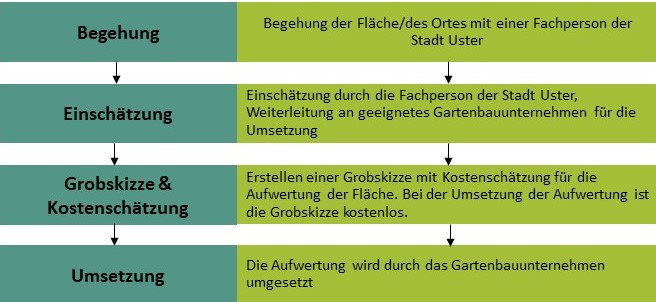 Grafik zur Beratung. 1. Begehung der Fläche. 2. Einschätzung durch Fachperson. 3. Grobskizze und Kostenschätzung durch private geeignete Firma zusammen mit Stadt Uster. 4. Umsetzung durch die gewählte private Firma