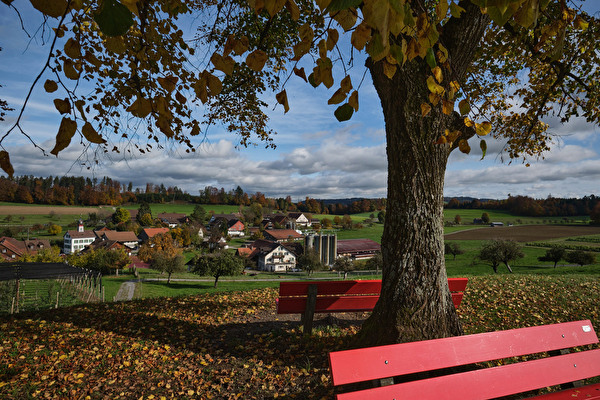 Aussicht auf Freudwil