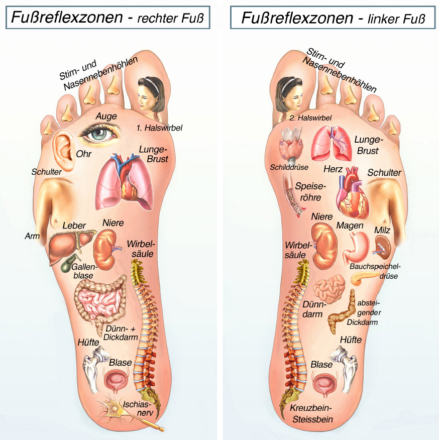 Fussreflexzonen