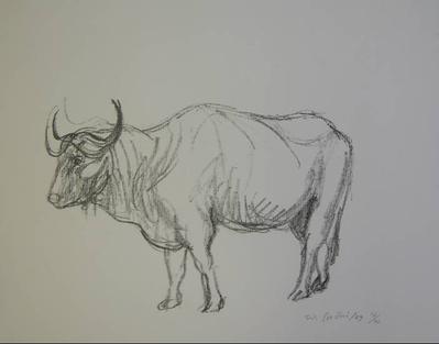 Stier, 1959, Lithografie auf Papier, 23,5 x 32 cm, Standort Archiv