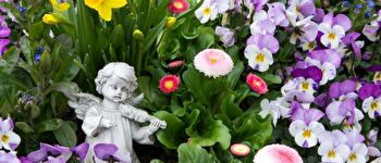 Blumen