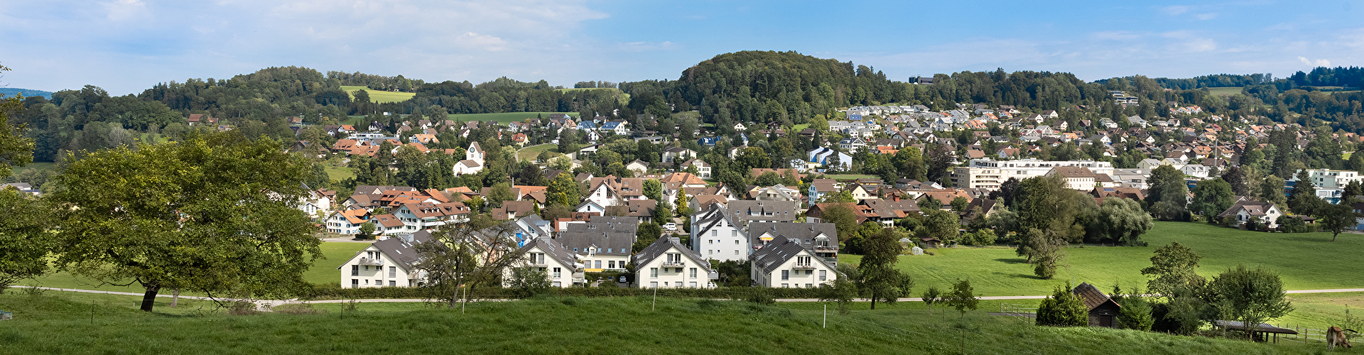 Weisslingen