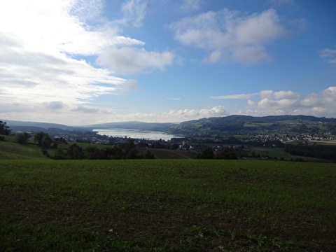 Aussicht Eichberg