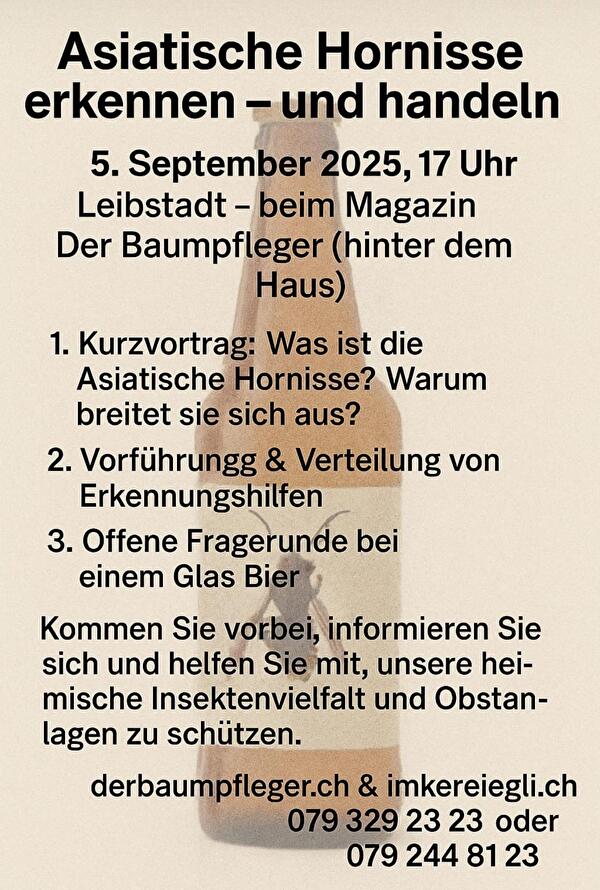 Flyer Hornisse