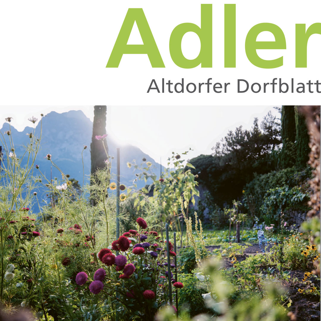 Adler Frühling 2025