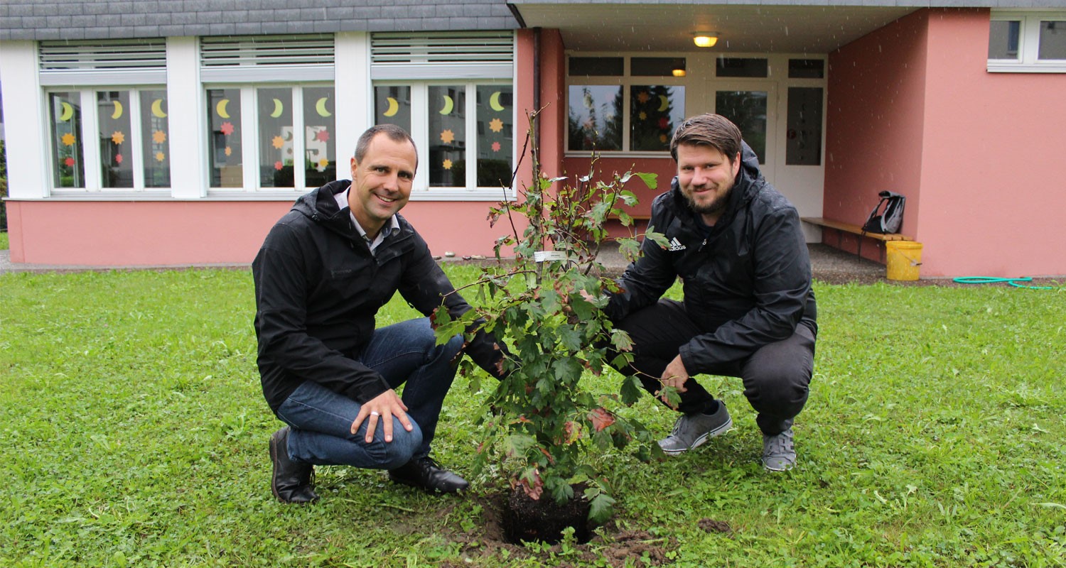 Eine Elsbeere für den Kindergarten Magigen