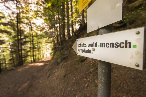 Lernpfad schutz.wald.mensch