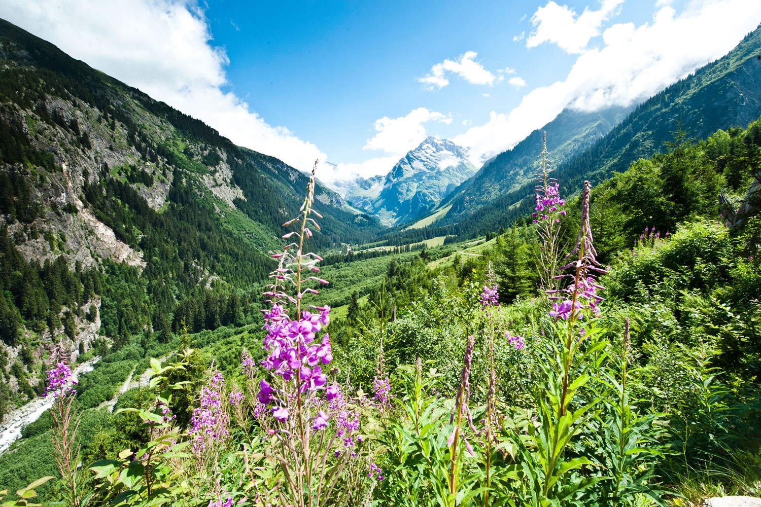 Maderanertal