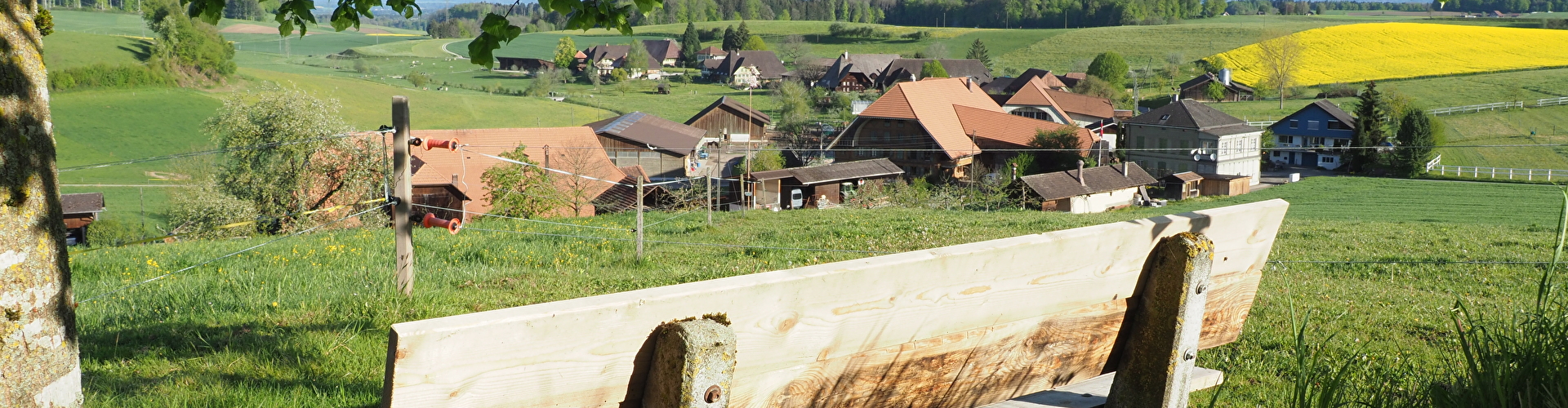 Rumendingen Foto