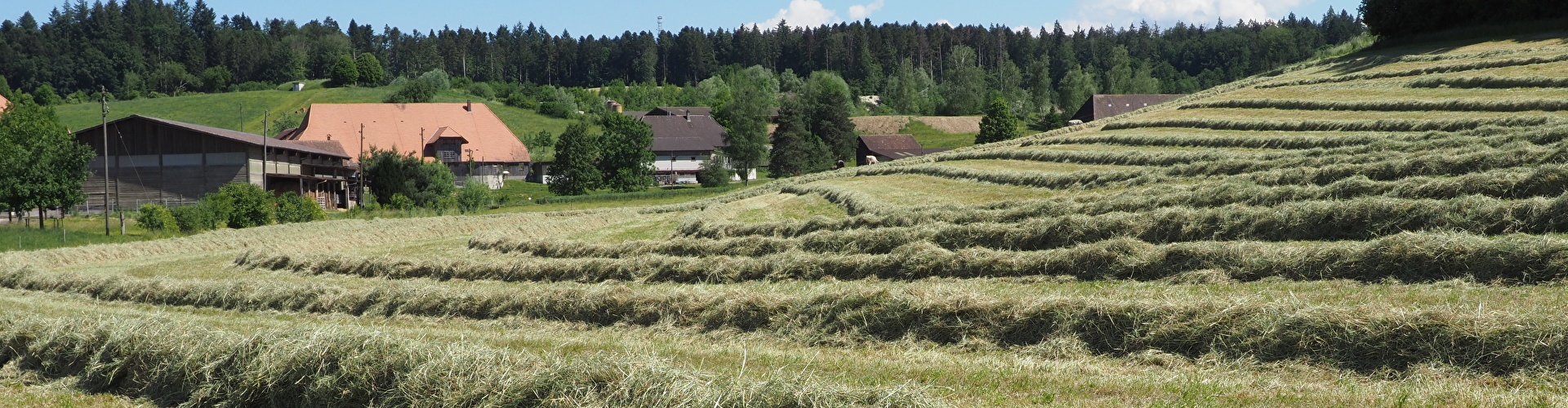 Rumendingen Foto