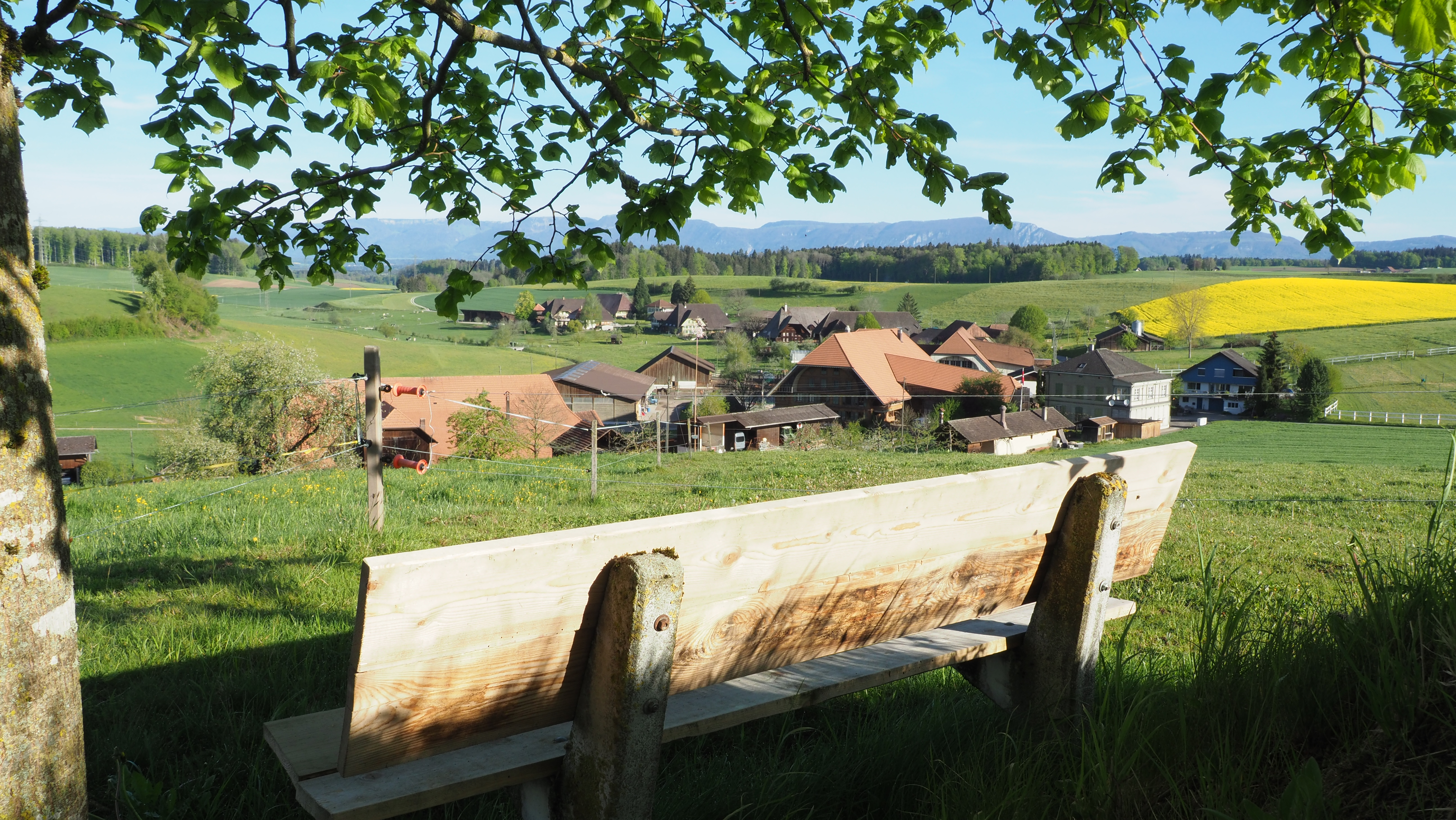 Sicht aufs Dorf