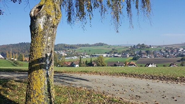 Sandbühl