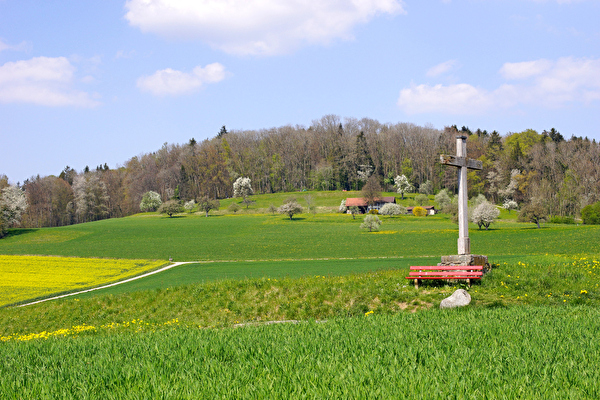 Maiengrün mit Bänkli